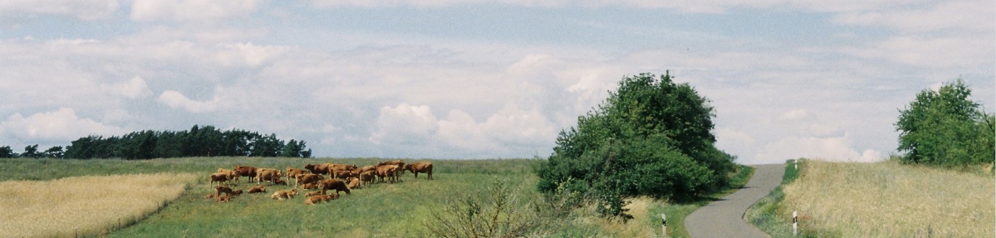 Sachsen-Anhalt-Lifte